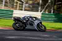 Advanced Group Silver_Grey Bikes